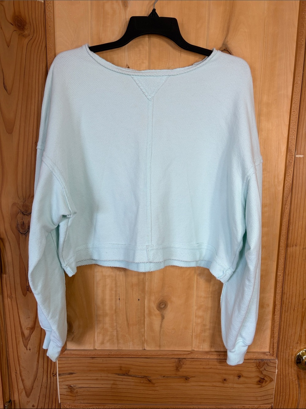 SO Cropped Lightweight Sweatshirt in Pale Mint